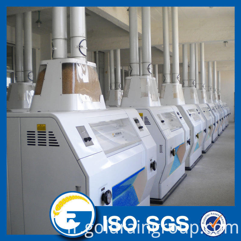 300 tonnes de farine de blé 300 tons Wheat Flour Milling Plant